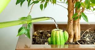 Comment un diffuseur d’eau artisanal peut révolutionner l’arrosage de votre potager