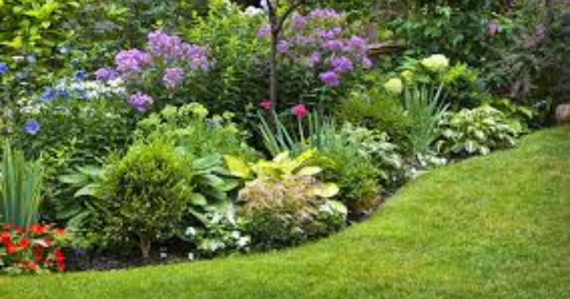 Fleurs de saison : comment avoir un jardin fleuri toute l’année