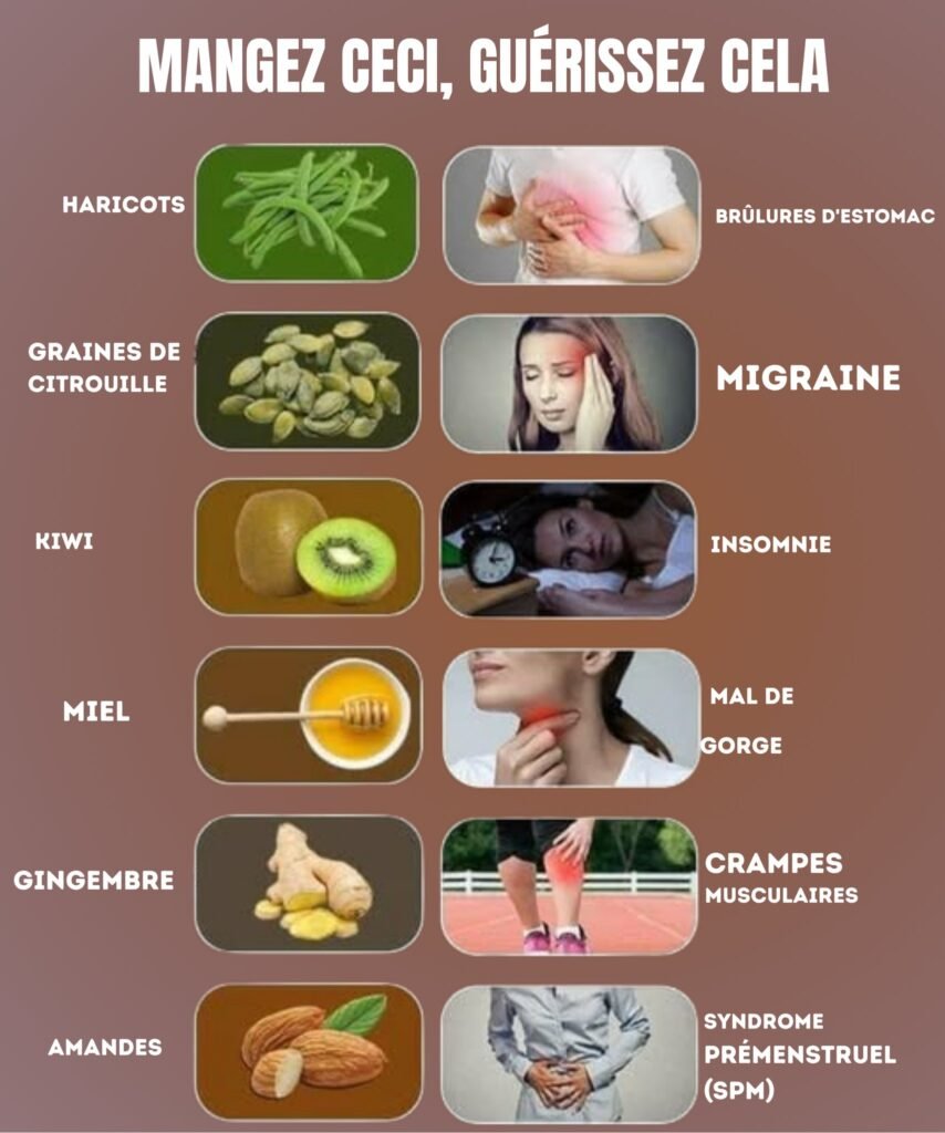 L’alimentation